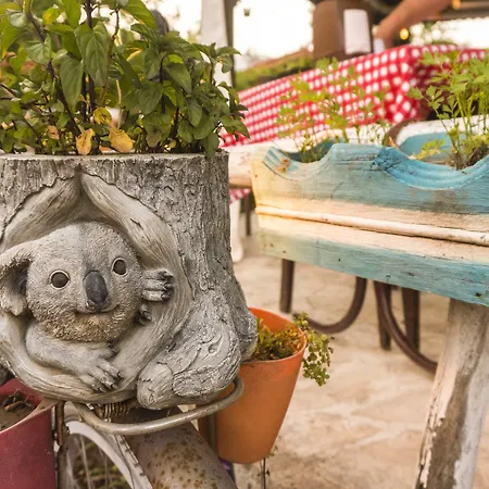 Koala Vendégház